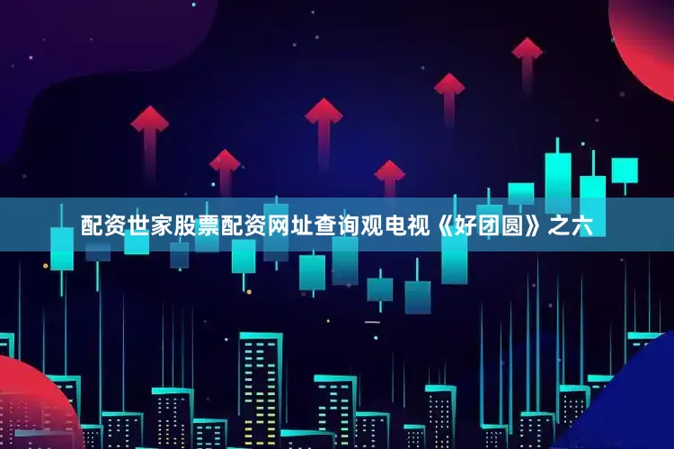 配资世家股票配资网址查询观电视《好团圆》之六